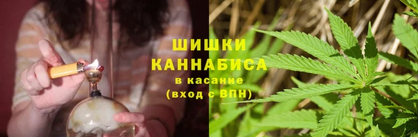 МДМА Ельня