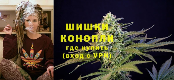 МДМА Ельня