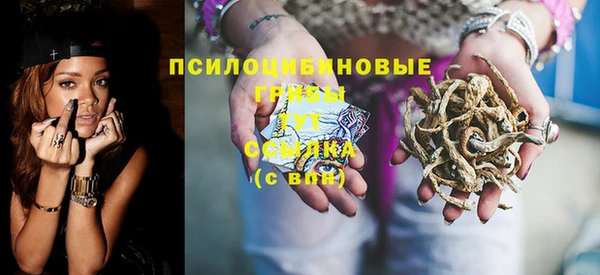 прущие крисы Елабуга