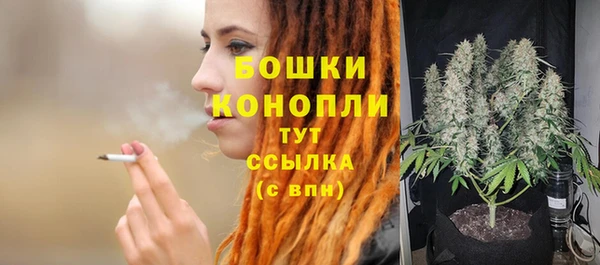 МДМА Ельня
